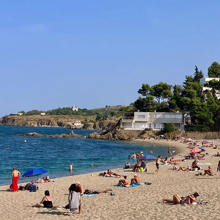 Maison De Flo Centre Historique Argeles Sur Mer Екстериор снимка